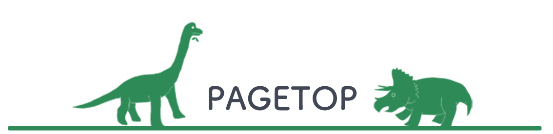 PAGE TOP